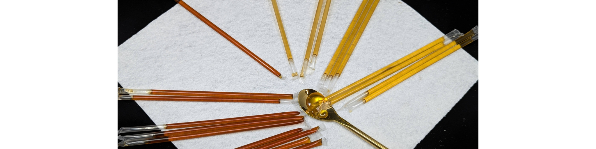 The Golden Bee Therapy